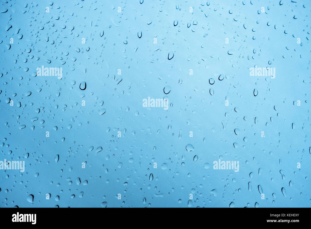 Gran cabezal de ducha tipo lluvia que libera gotas de agua.