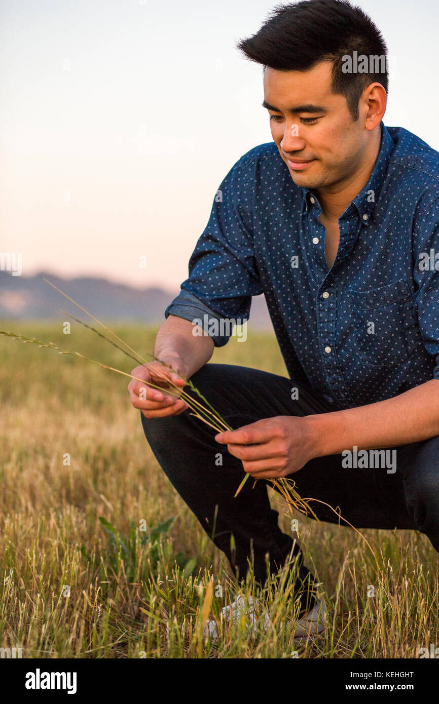 Sonriente hombre chino agachando y sosteniendo hierba en el campo Foto de stock