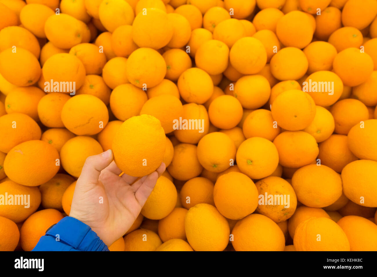 Mano que sostiene naranjas Foto de stock