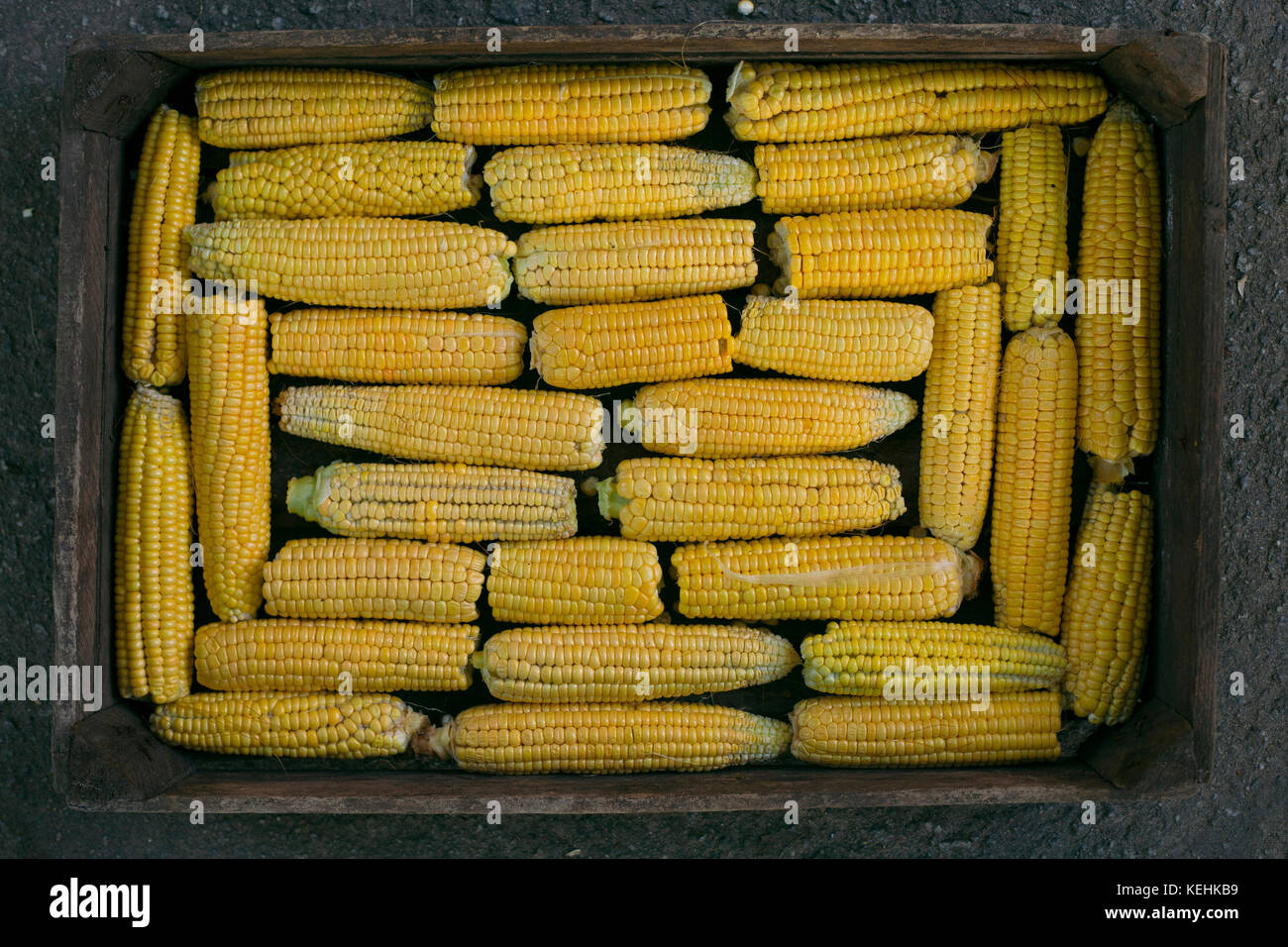 Caja de maíz en mazorca Fotografía de stock - Alamy