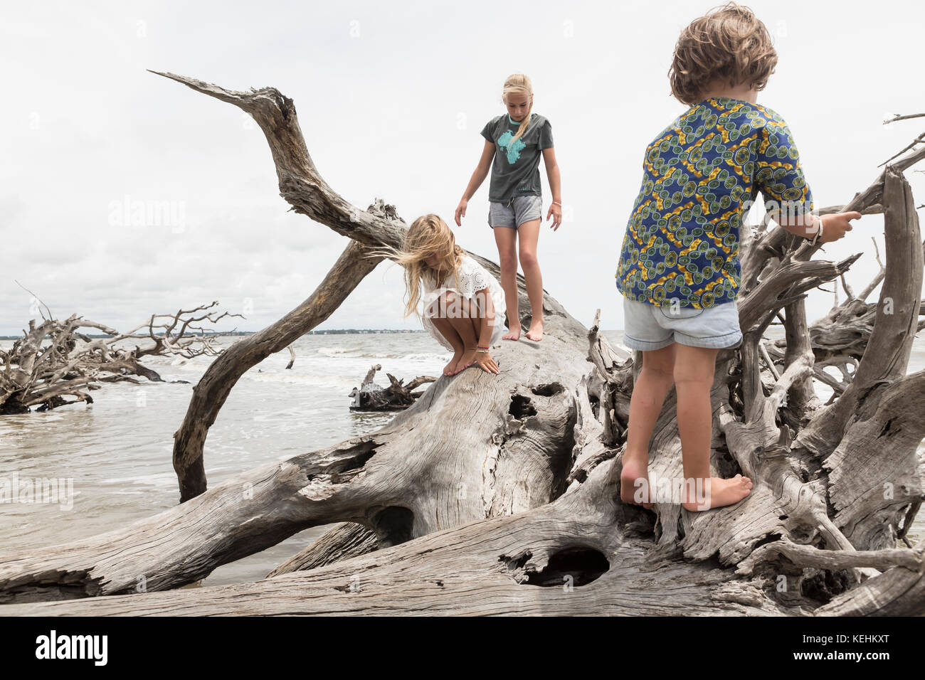 Niño caucásico y niñas que suben sobre madera a la deriva en la playa Foto de stock