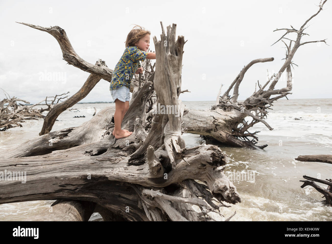 Niño caucásico que sube sobre madera de deriva en la playa Foto de stock