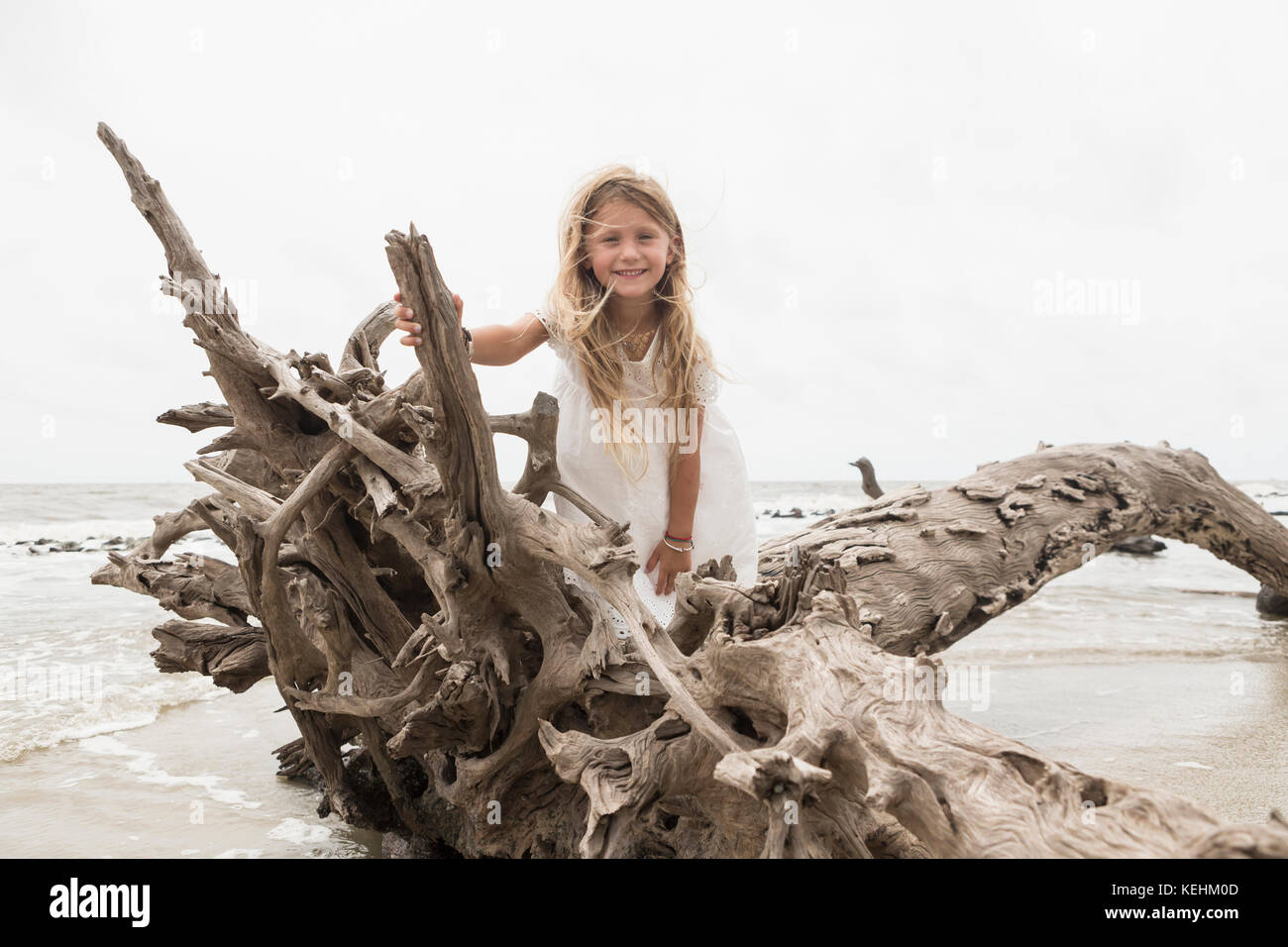 Chica caucásica posando sobre madera de deriva en la playa Foto de stock