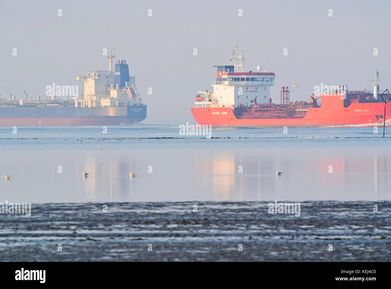 Los buques portacontenedores en la desembocadura del río Elba cerca de Cuxhaven, Alemania Foto de stock