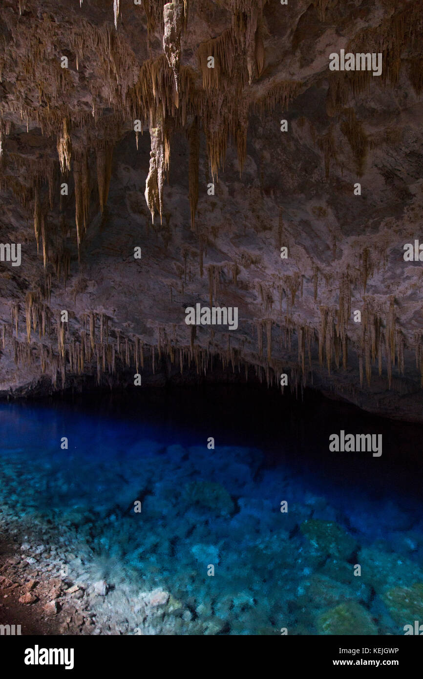 Gruta do Lago Azul [gruta del lago azul] en bonito - Mato Grosso do Sul, Brasil Foto de stock