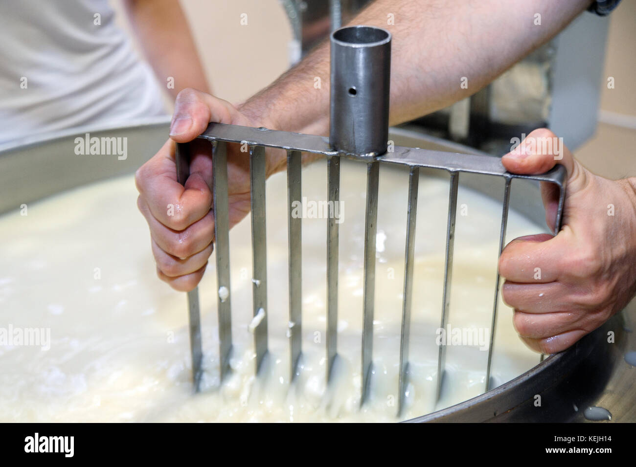 Caldero con la leche cuajada trajo a alta temperatura para la producción de queso en la empresa láctea Foto de stock