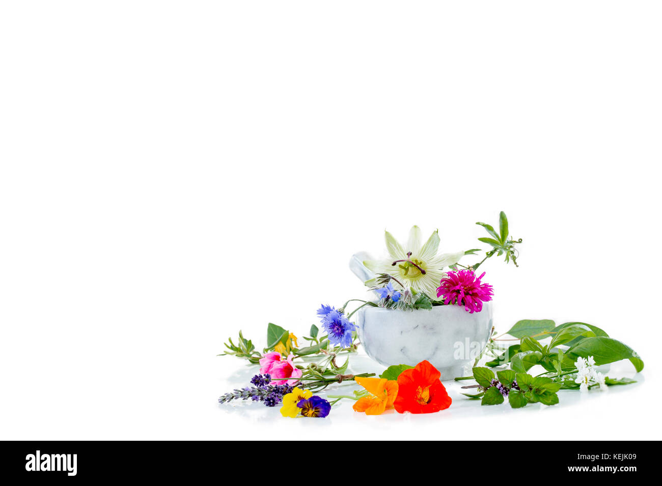 Mortero blanco con hierbas frescas y plantas medicinales y preparación de plantas medicinales para la salud belleza phytotherapyand Foto de stock