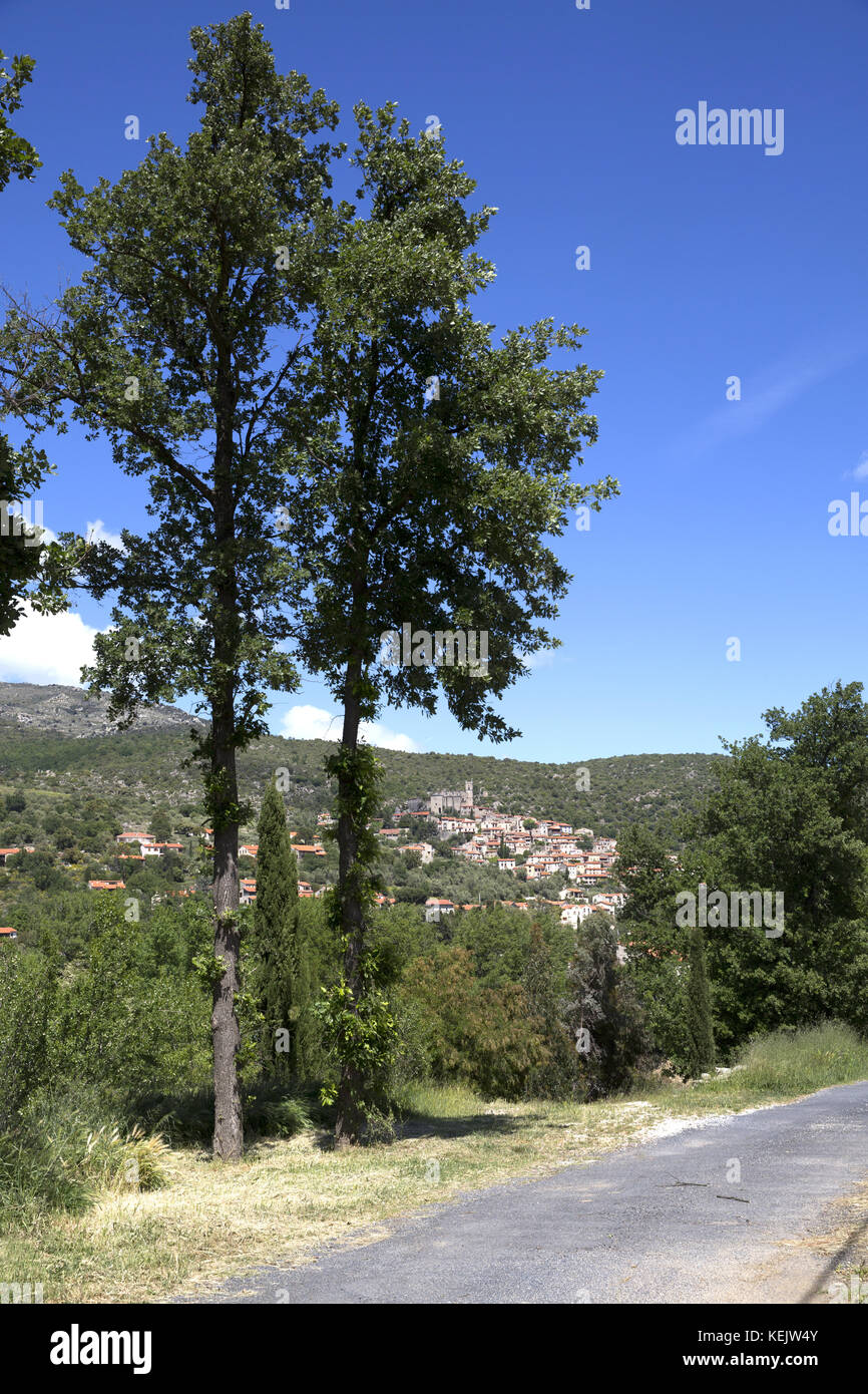 El valle de la Têt, cerca del río Eus, Pirineos Orientales, Francia Foto de stock