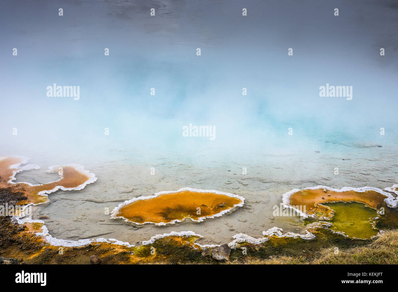 Colorido esteras bacterianas y depósitos minerales line muchos de los manantiales situados en el Parque Nacional de Yellowstone, creando una matriz de formas abstractas y co Foto de stock