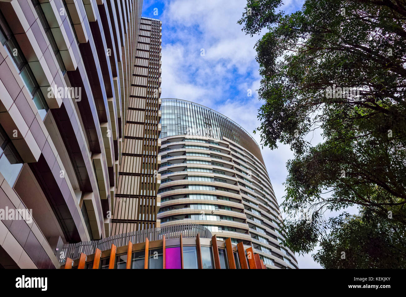 Edificios de apartamentos en el parque olímpico de Sydney, Australia. Australia. Los primeros bloques de apartamentos de propiedad comercial. Foto de stock