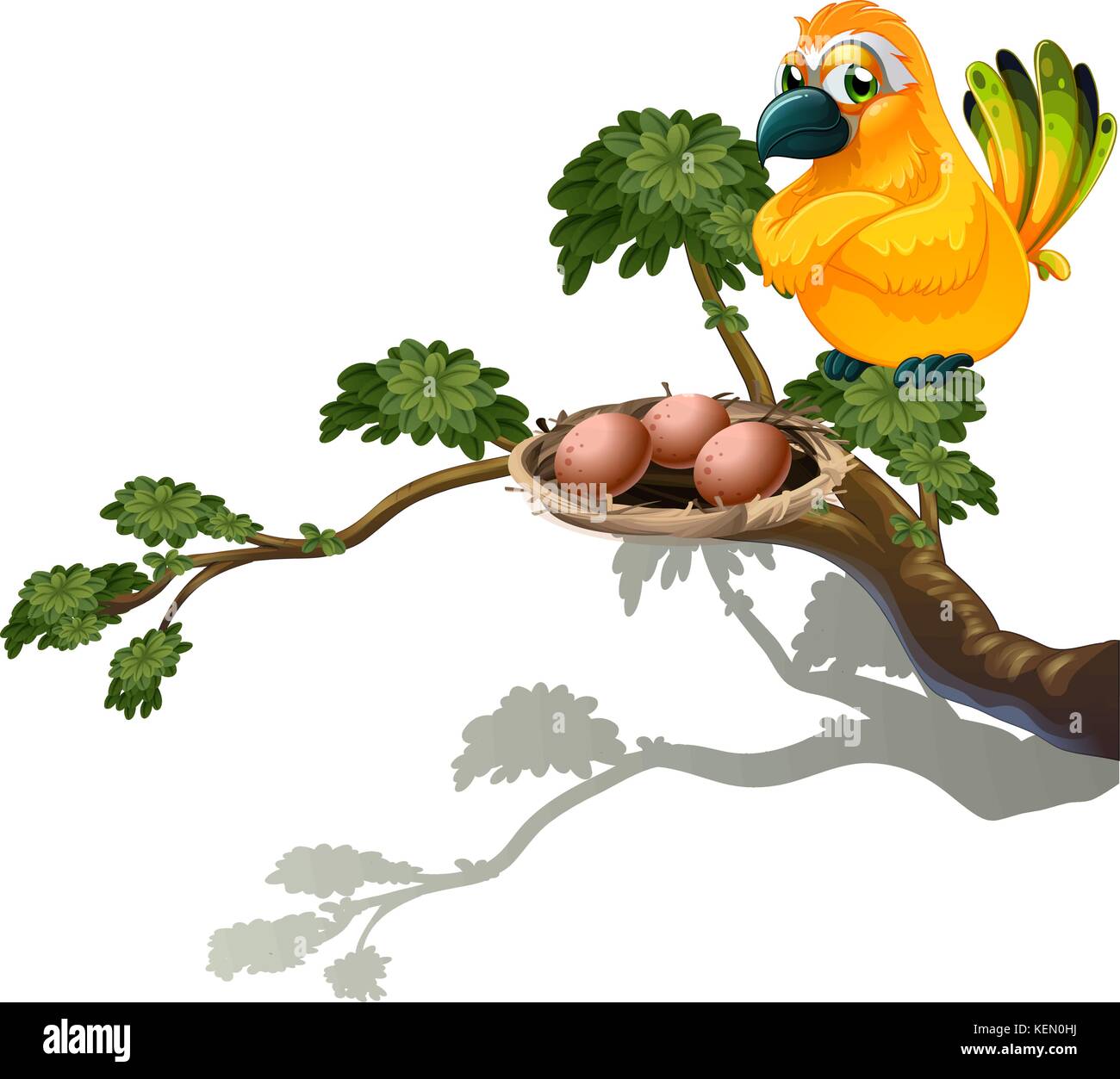 Ilustración de una naranja de aves los huevos sobre un fondo blanco. Ilustración del Vector