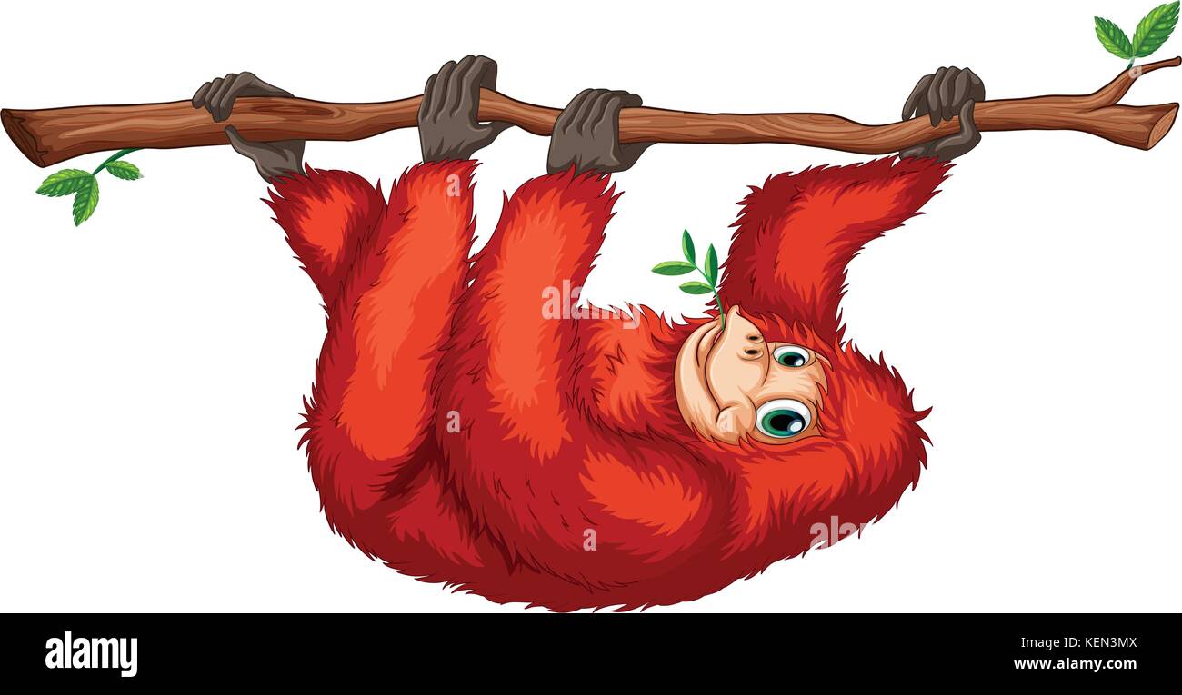 Ilustración De Un Orangután Rojo Sobre Un Fondo Blanco Imagen Vector De Stock Alamy 