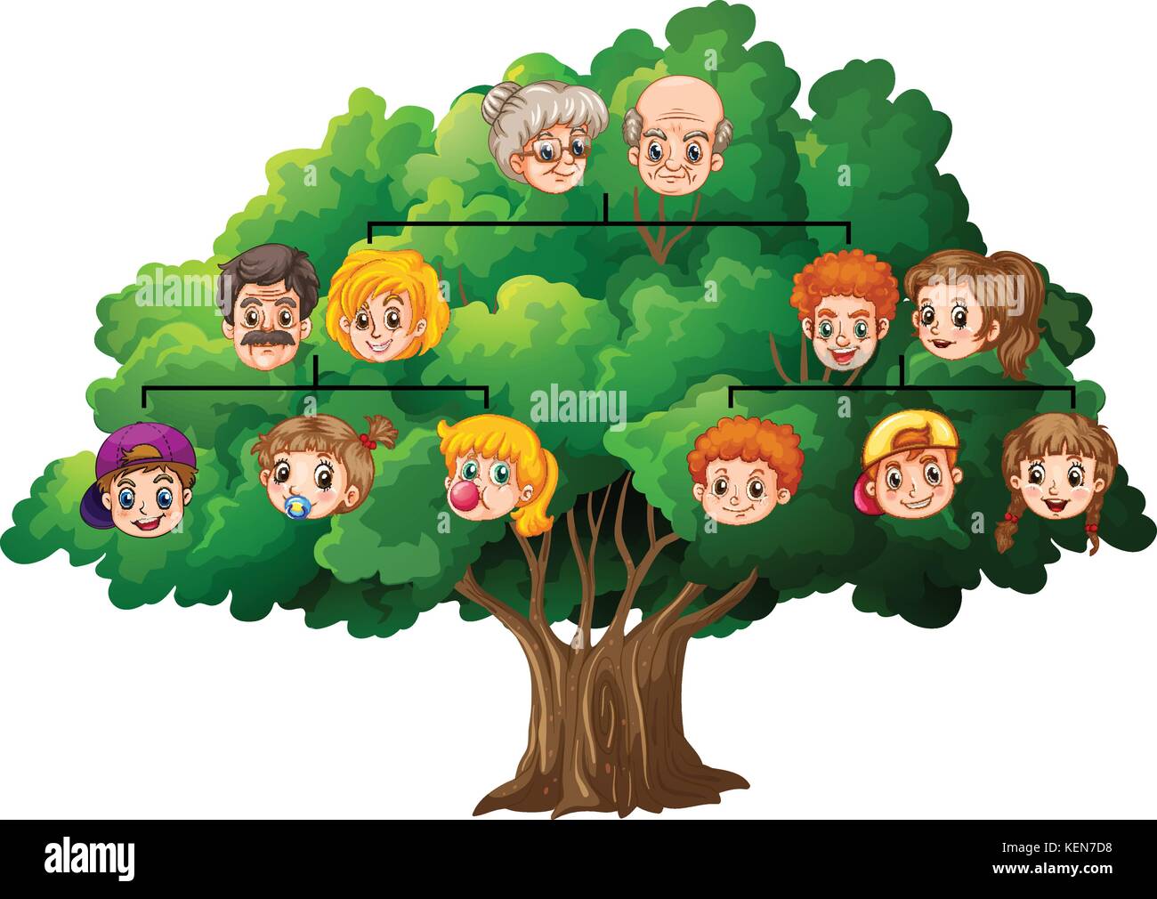Ilustración de un árbol genealógico completados Imagen Vector de