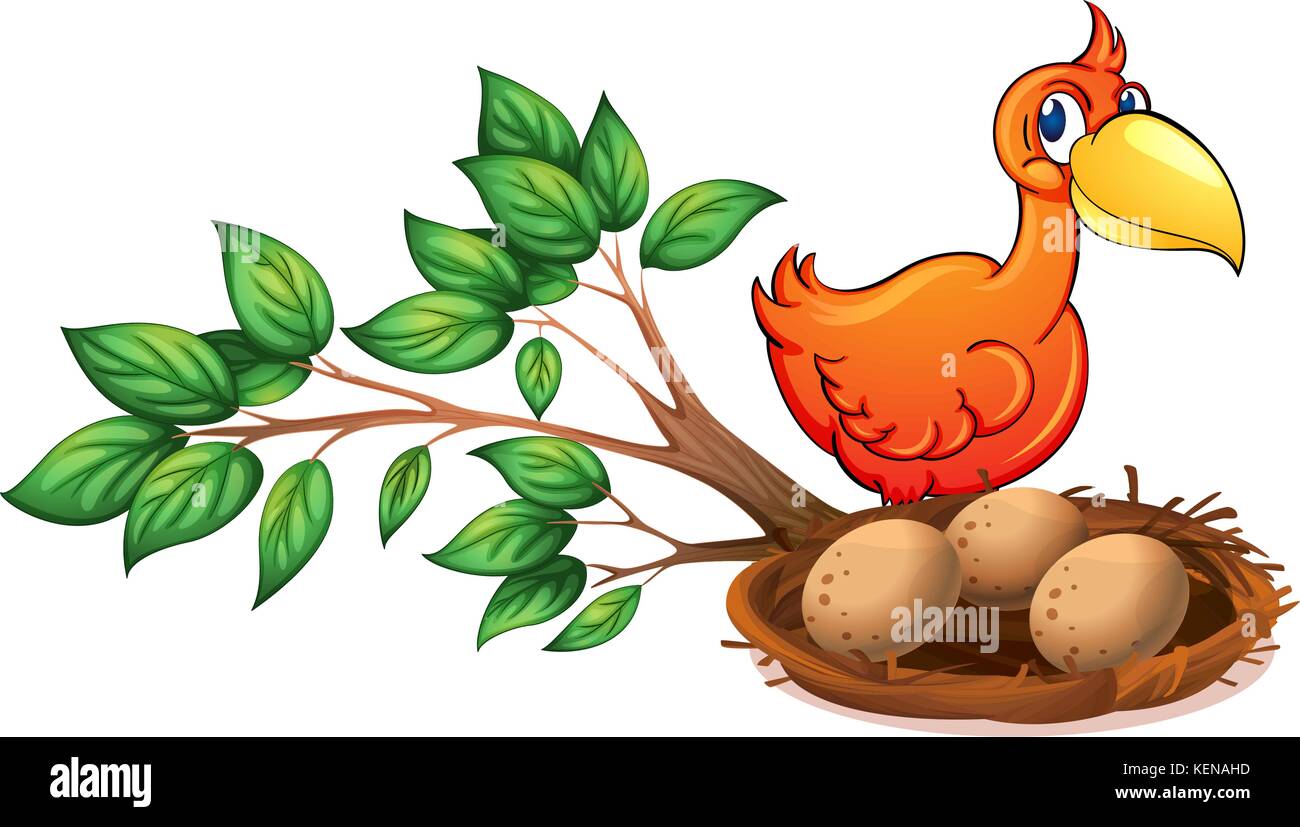 Ilustración de una naranja de aves los huevos sobre un fondo blanco. Ilustración del Vector