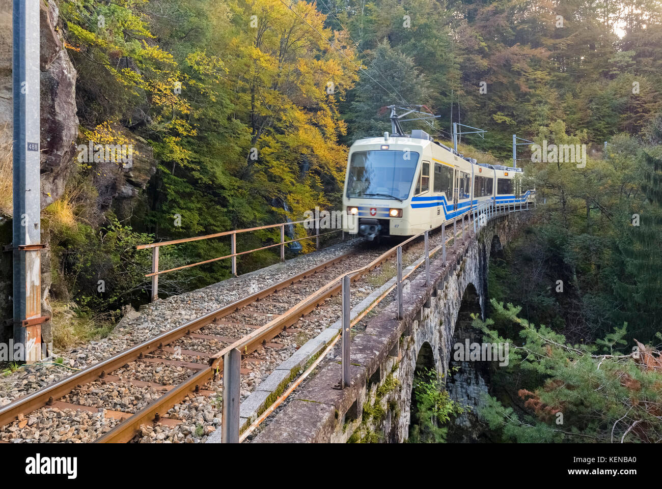Vigezzina tren pasa a través de los colores otoñales del bosque cercano, Druogno Gagnone-Orcesco, Val Vigezzo, Piamonte, Italia. Foto de stock