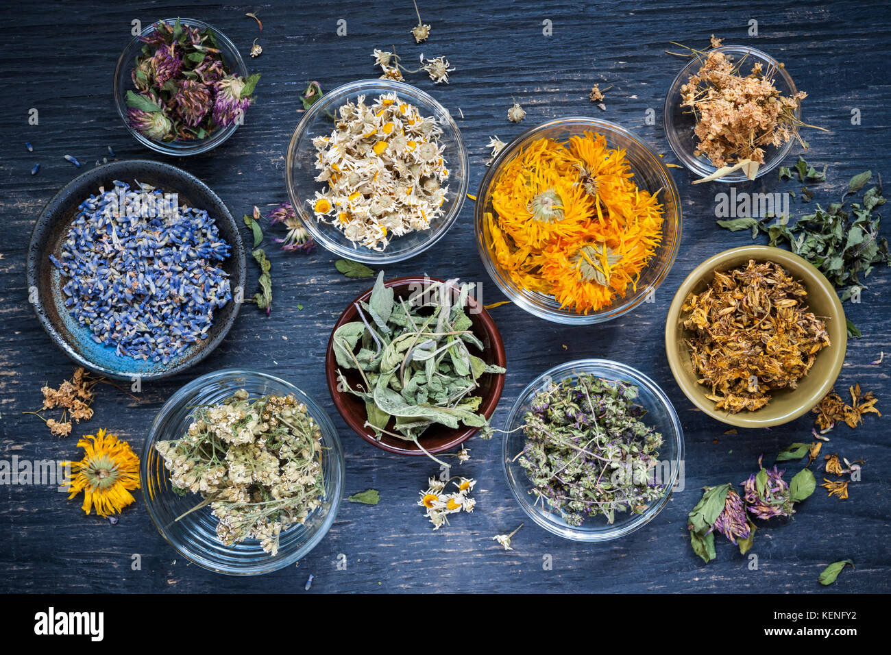 Diversas hierbas medicinales secas y tés de hierbas en varios tazones sobre fondo de madera azul desde arriba Foto de stock