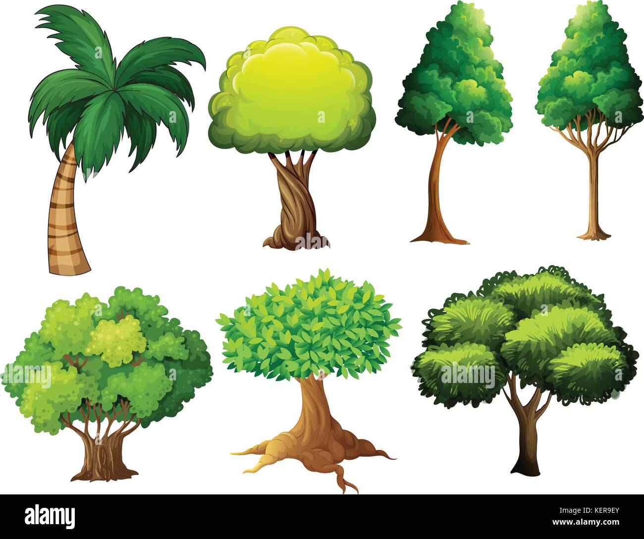 Ilustración de un conjunto de árboles diferentes Imagen Vector de stock -  Alamy