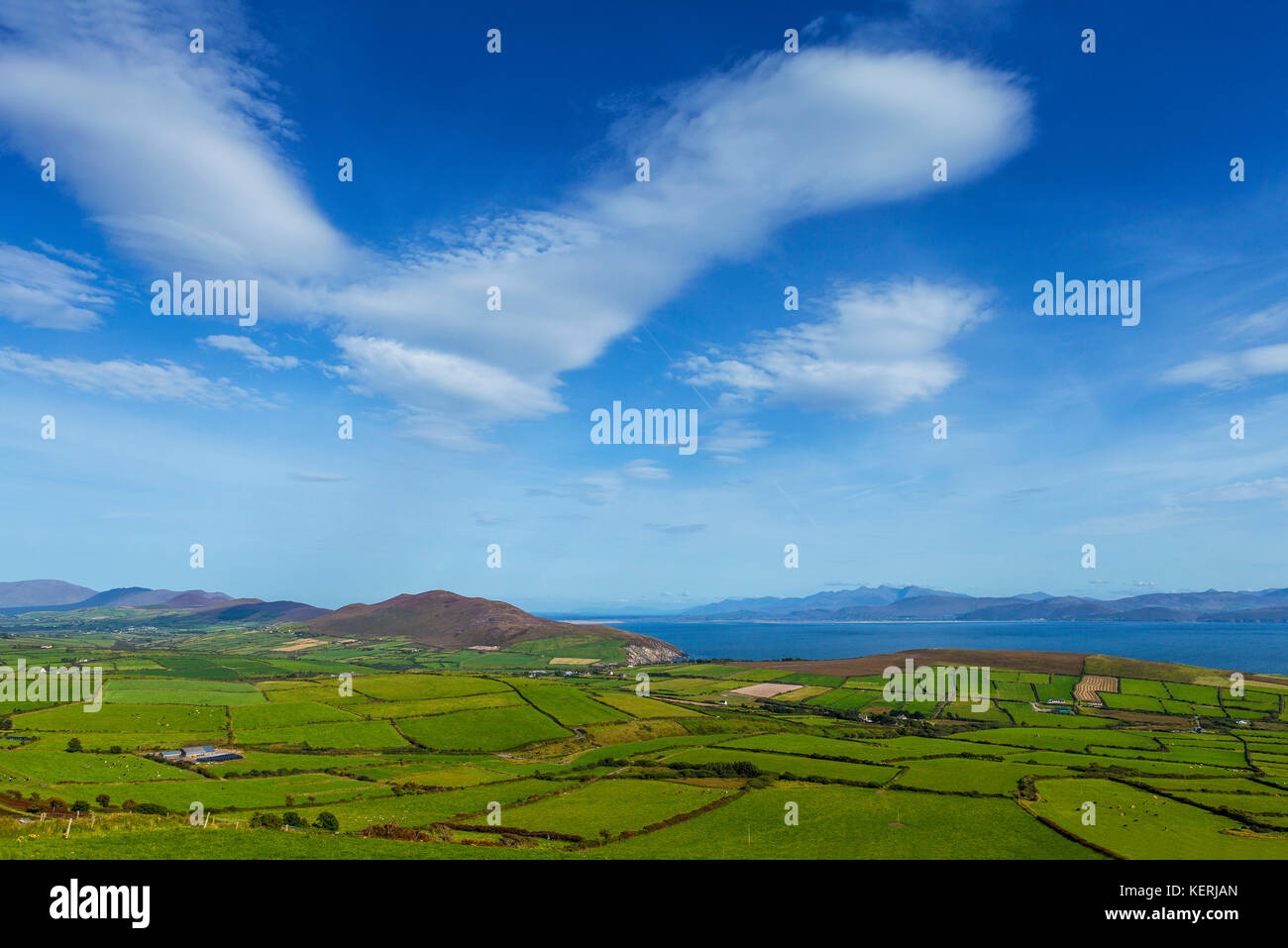 Los pequeños campos verdes en un paisaje rural de Irlanda, cerca de la cabeza de toro, la península Dingle, Condado de Kerry, Irlanda Foto de stock