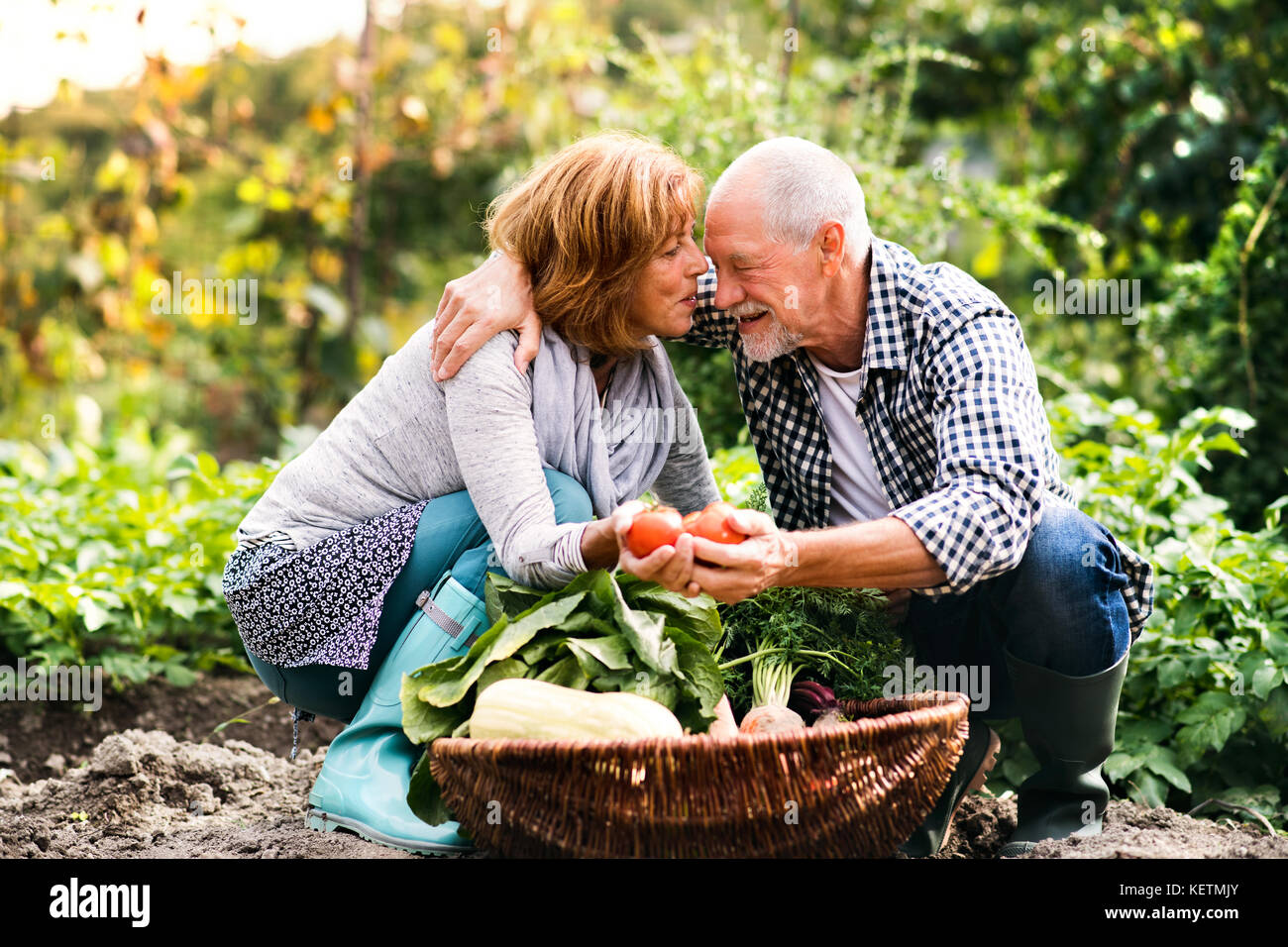 Pareja senior de jardinería en el patio jardín. Foto de stock