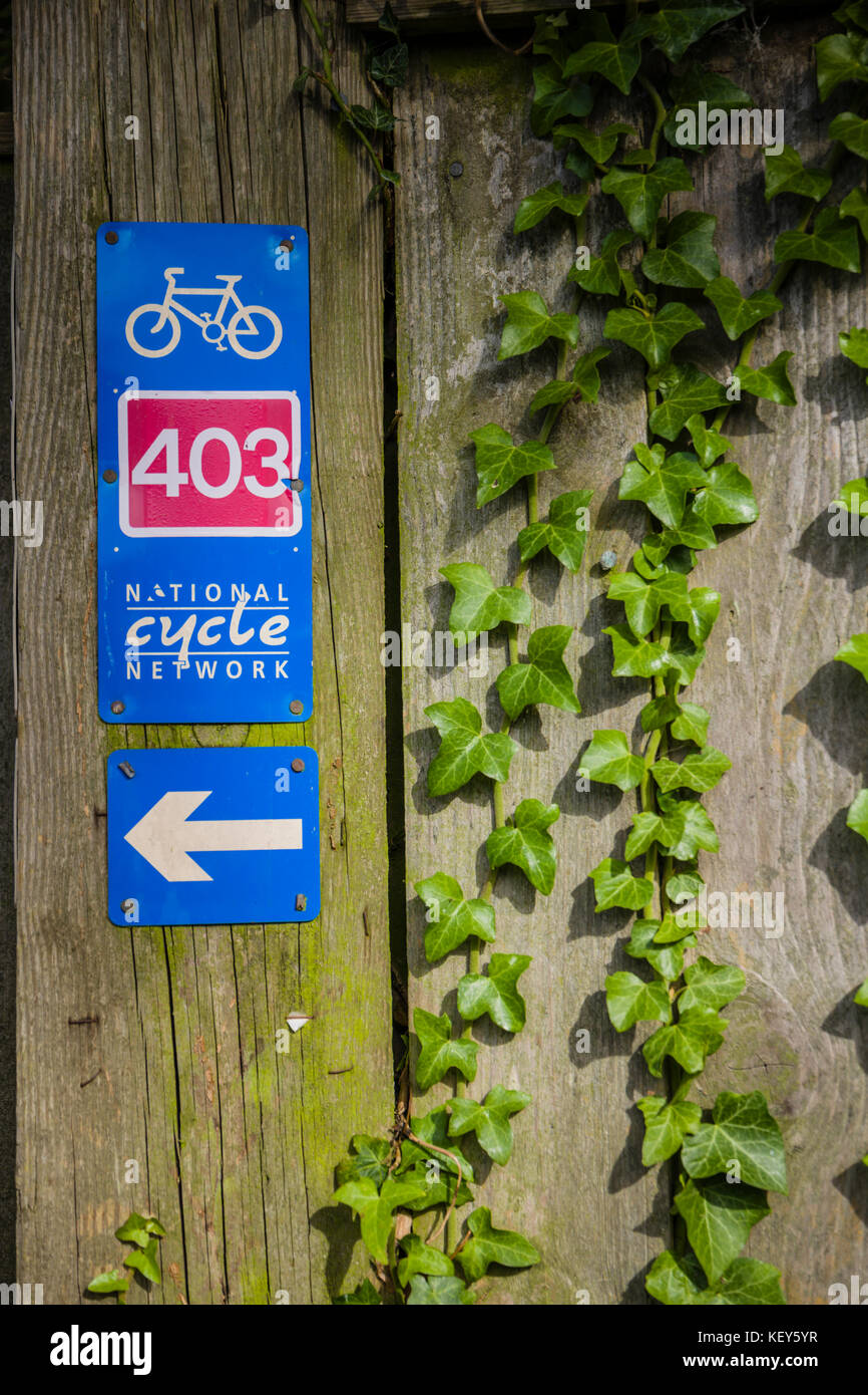 403 ciclo ruta trail cerca de Avebury. Foto de stock