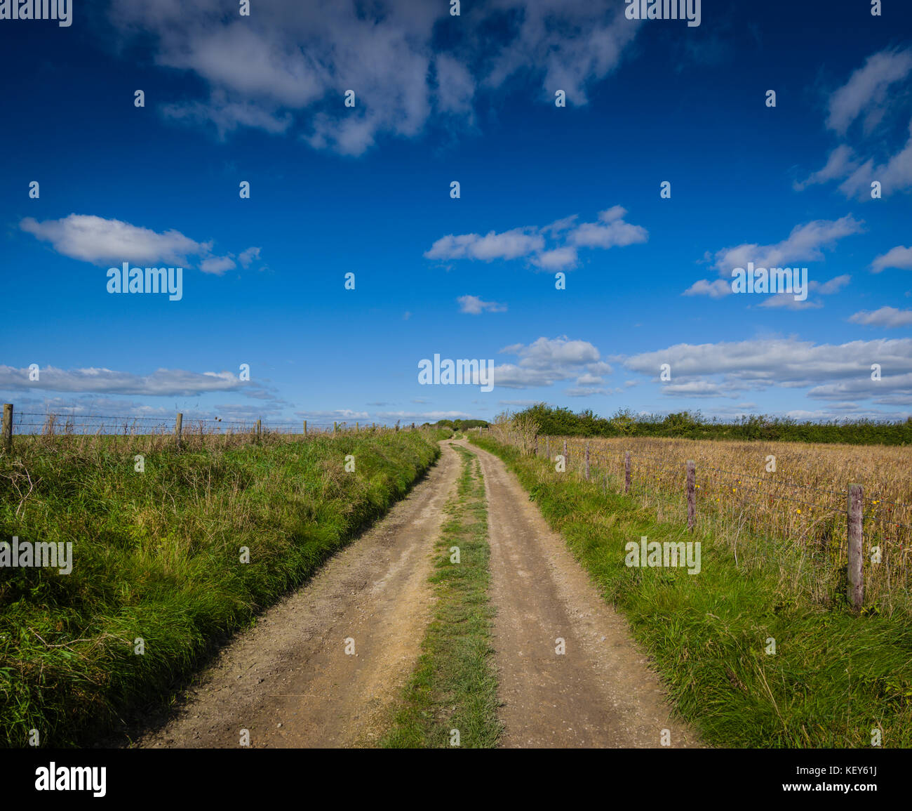 A Bridleway Windmill Hill cerca de Avebury, Wiltshire. Foto de stock