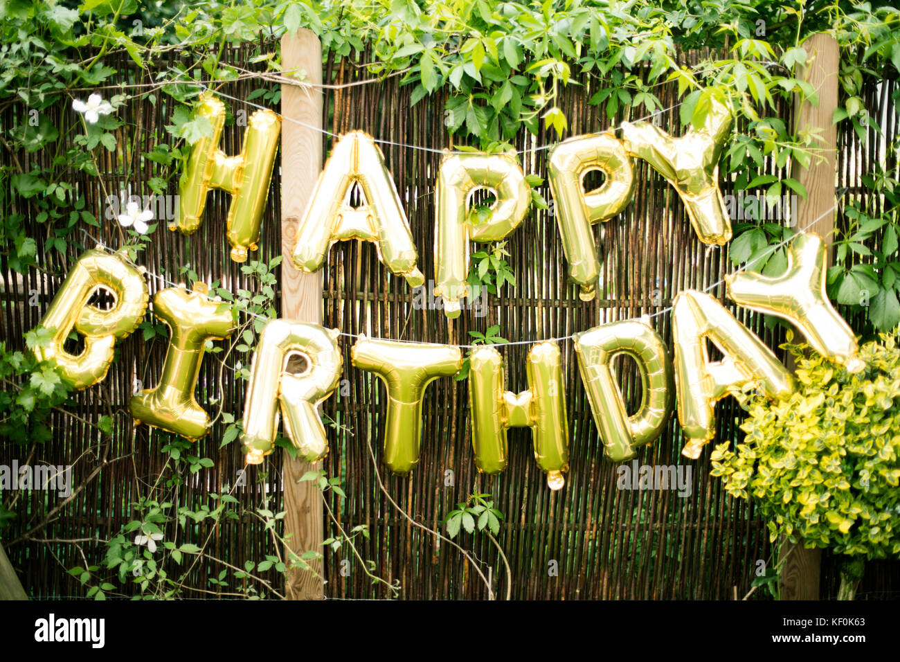 Decoración para la fiesta de cumpleaños en el jardín con globos de oro  Fotografía de stock - Alamy