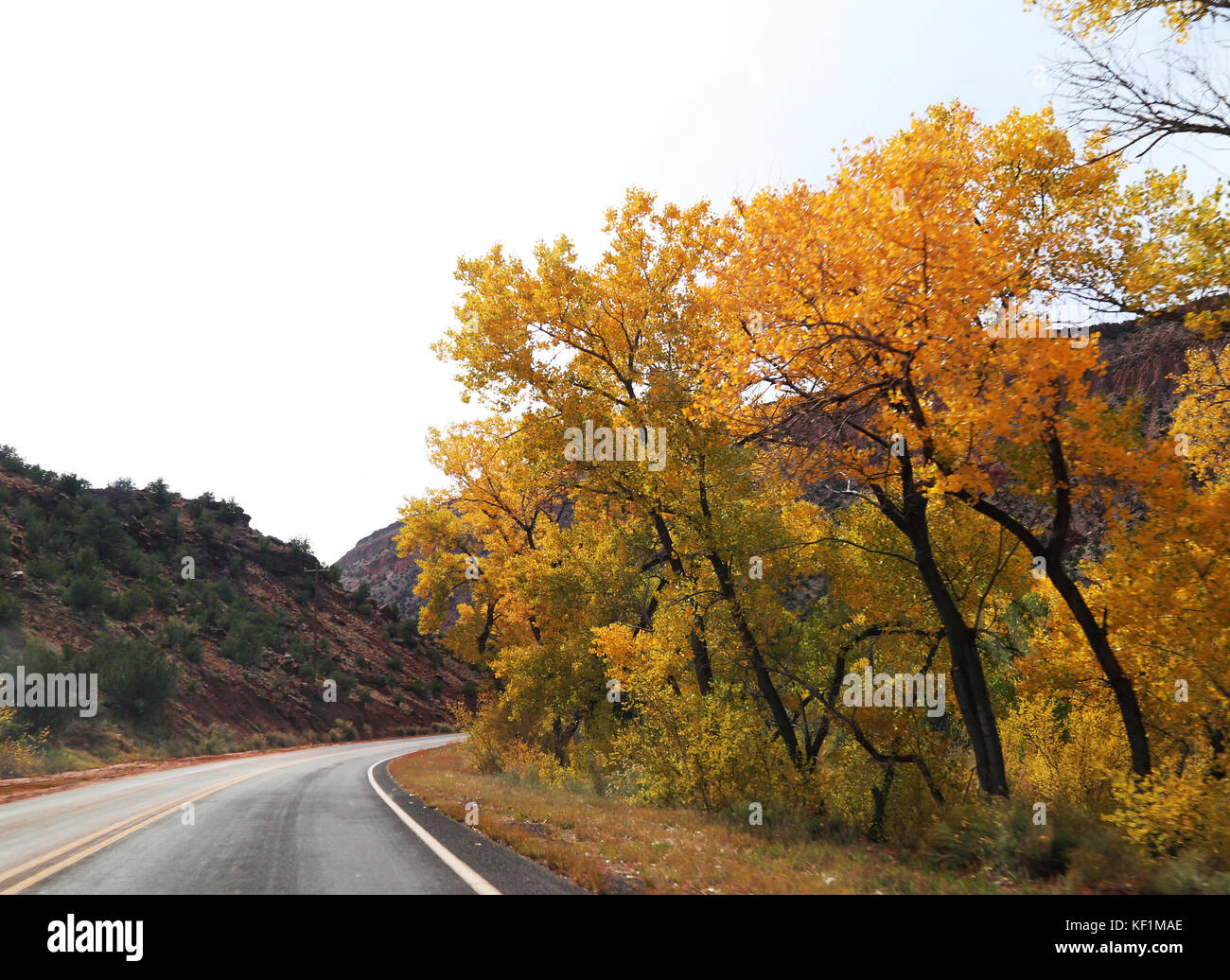 Jemez Mountain Trail National Scenic Desviación en Nuevo México Foto de stock