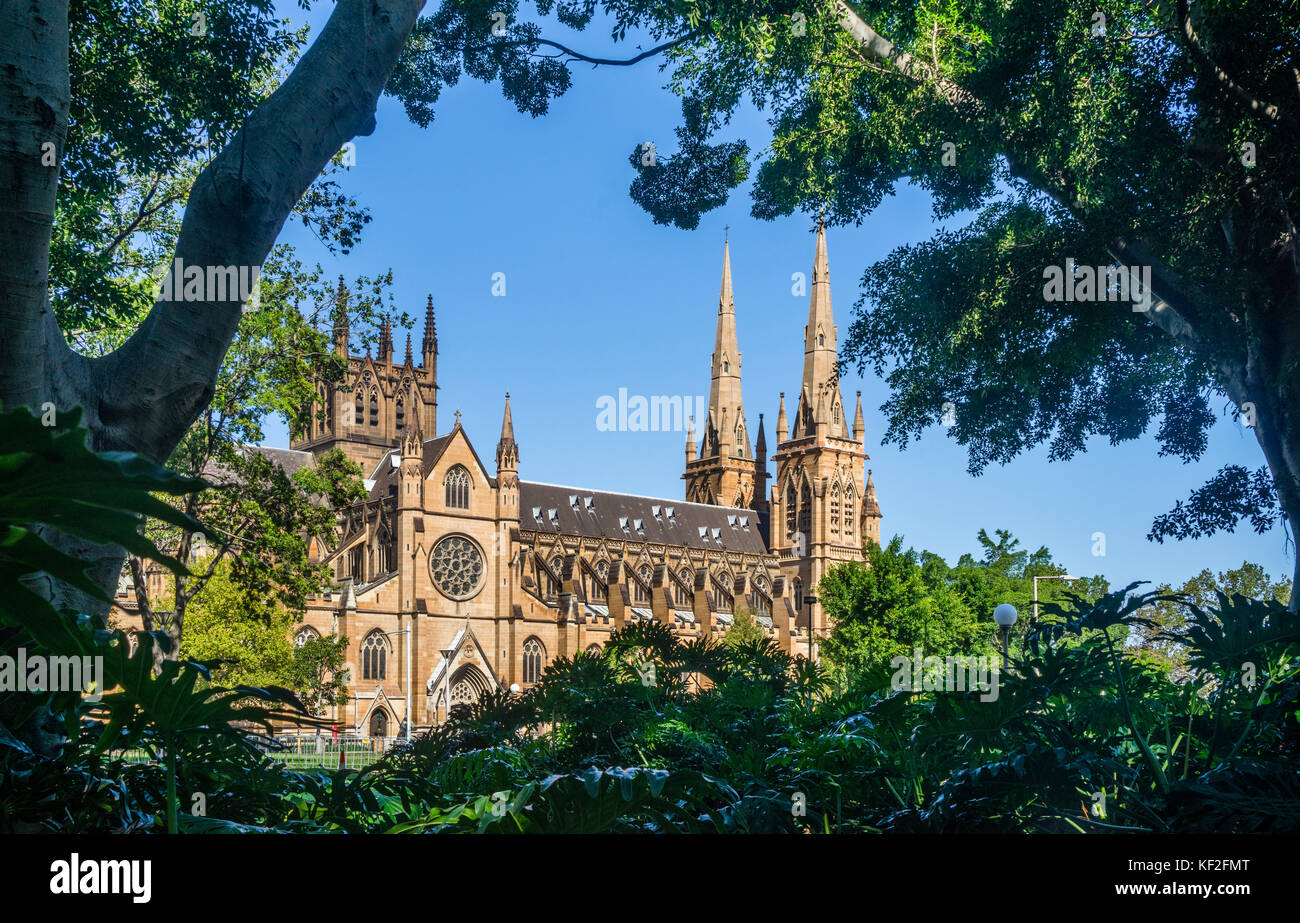Australia, New South Wales, Sydney, Hyde Park, vista de la gótica de la Catedral de St Mary's Foto de stock