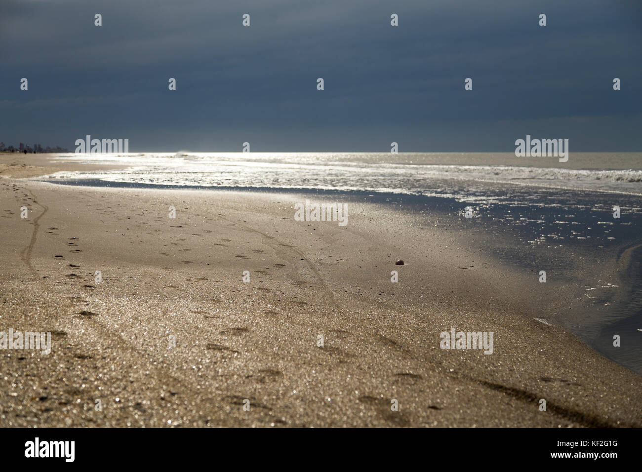 Mar de las pampas fotografías e imágenes de alta resolución - Alamy