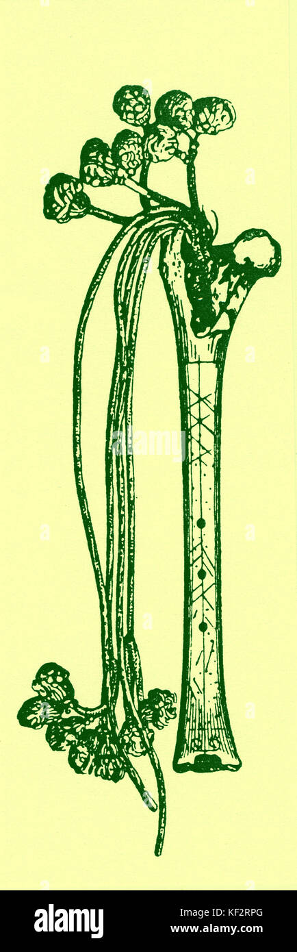 Flauta de hueso del cazador de la tribu Macuchi, Guyana. Tibia de América del Sur. Historia Temprana Foto de stock