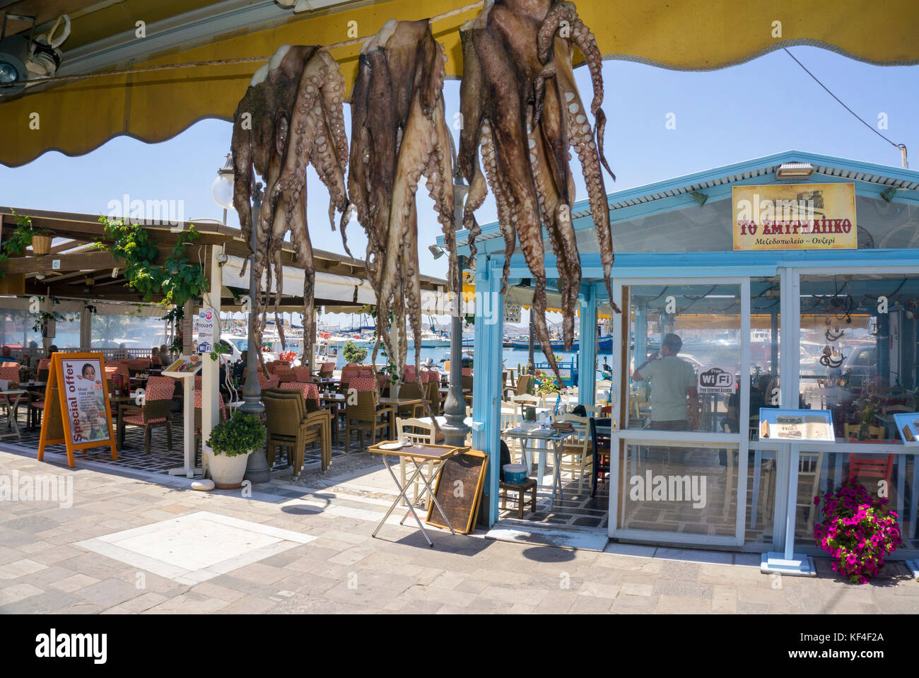 Pulpo colgando para secar en el restaurante de pescado, el puerto de la ciudad de Naxos, Naxos Island, las Islas Cícladas, del mar Egeo, Grecia Foto de stock