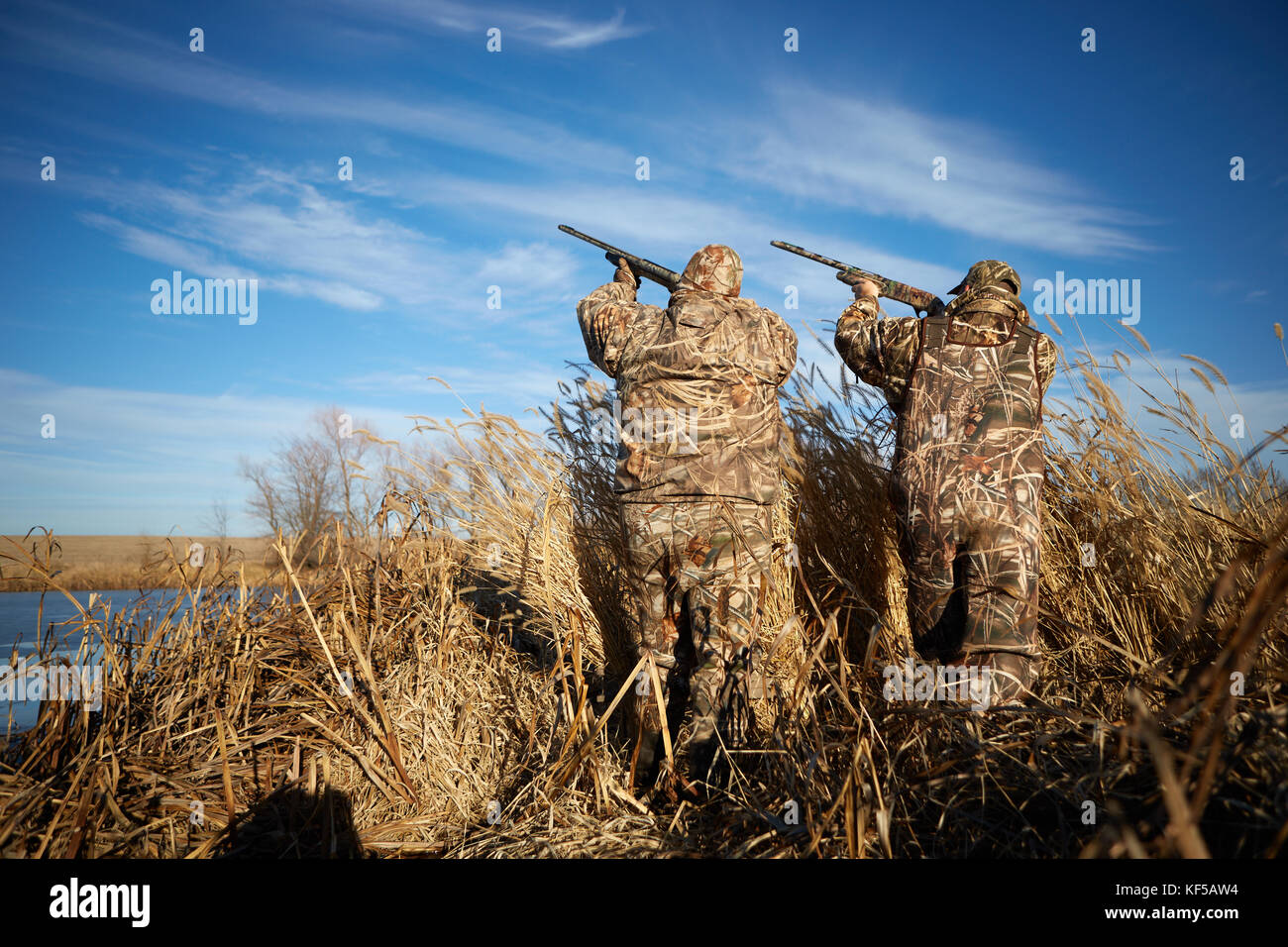 Los cazadores de aves acuáticas camuflado dos disparos hacia el cielo durante la caza de patos en día soleado Foto de stock