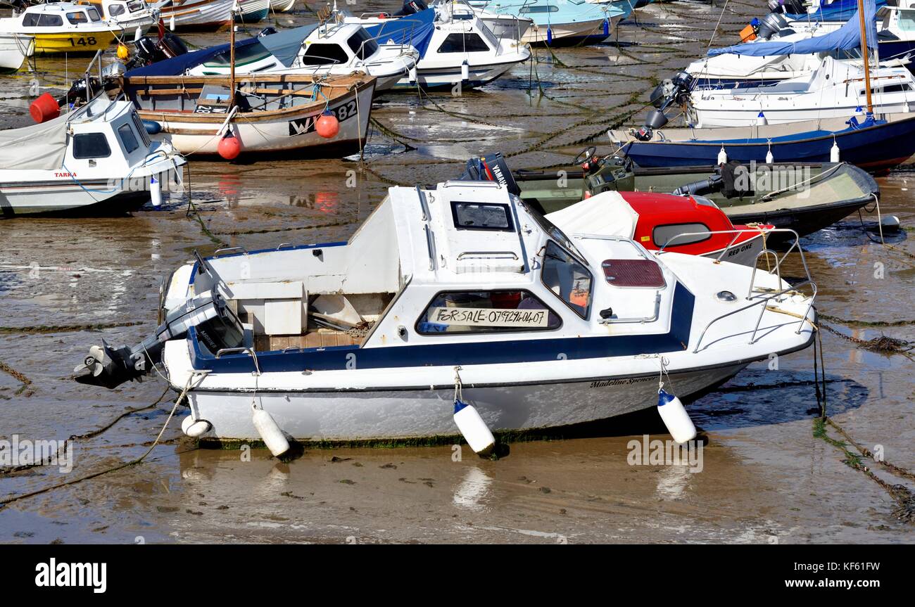 Barco de ocio para la venta de Lyme Regis Harbour Dorset, Inglaterra Foto de stock