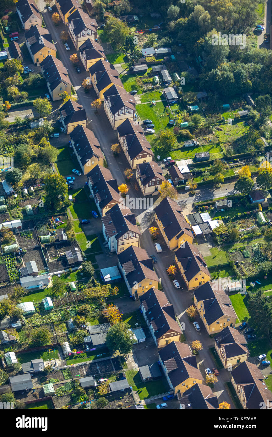 Zechensiedlung Wielandstraße, de-Wendel-Straße, Pelkum, Hamm, Ruhrgebiet, Renania del Norte Westfalia, Deutschland Europa, Goldener Oktober, Hamm, Hebst, LUF Foto de stock