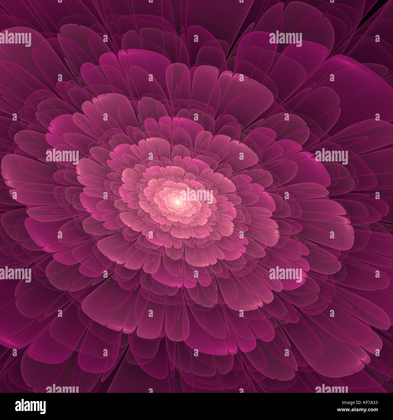 Hermosa flor fractal abstracto, rosa y color magenta Foto de stock