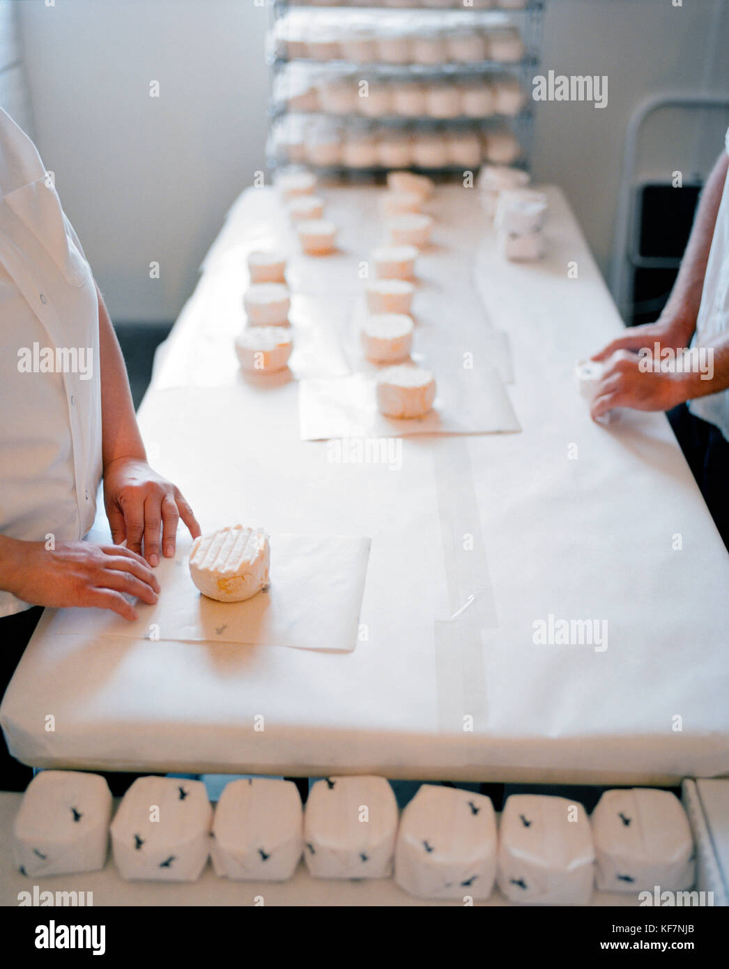 Estados Unidos, California, Point Reyes Station, manos que se envuelven