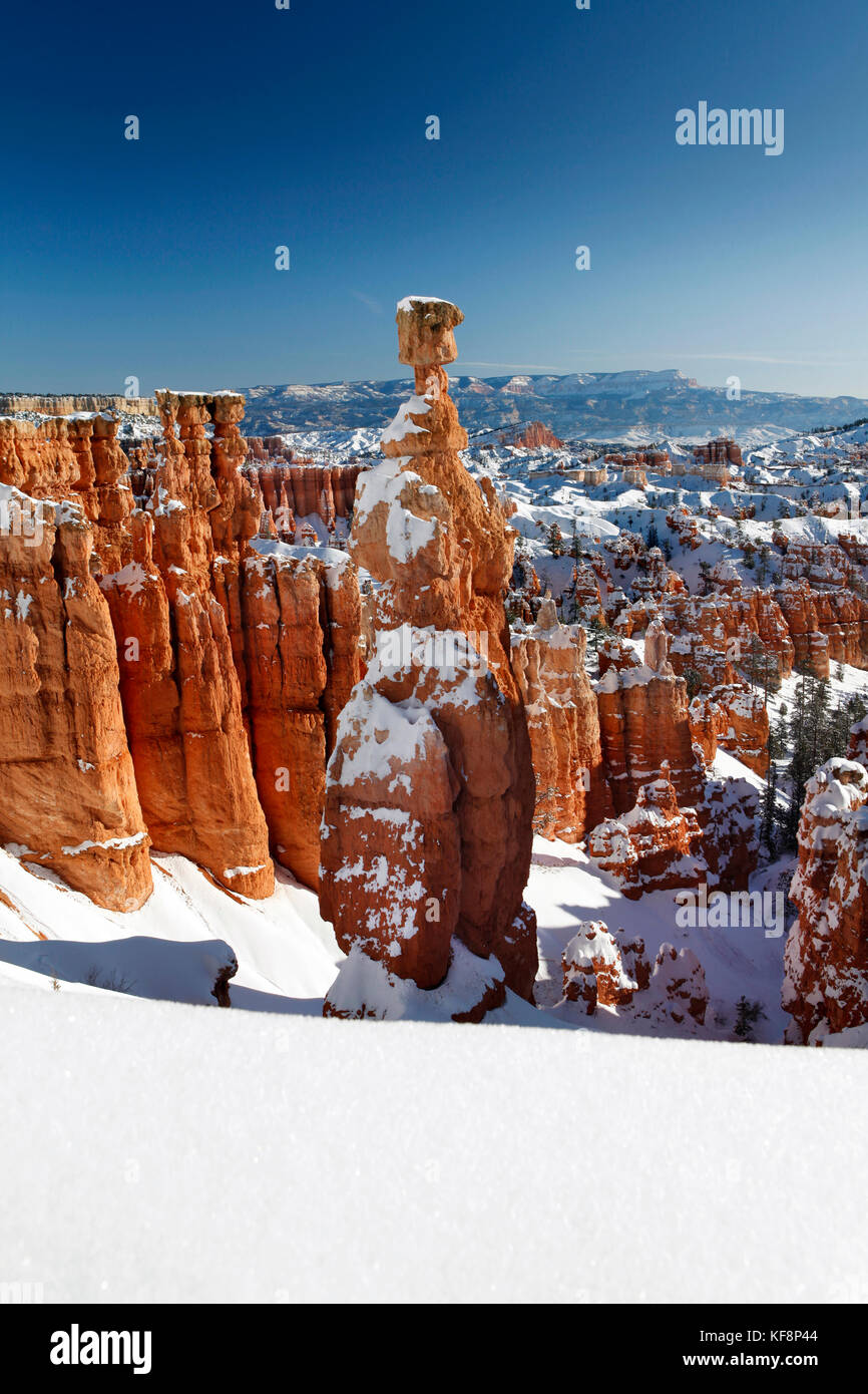 Estados Unidos, Utah, Bryce Canyon City, el parque nacional de Bryce Canyon hoodoos, cubierto de nieve a lo largo de la Navajo Loop Trail, una formación denominada thors hammer Foto de stock