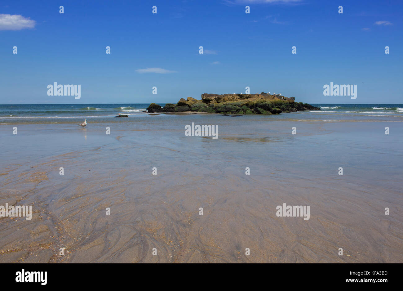 Rocas playa arena abstracto detalle fotografías e imágenes de alta