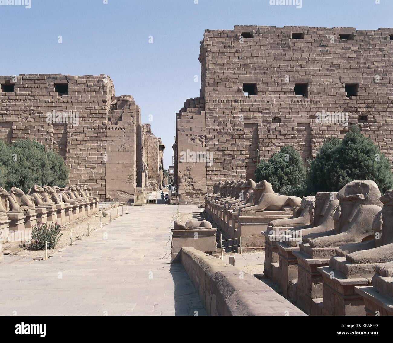 Egipto, antigua Tebas (lista de patrimonio mundial de la UNESCO, 1979). Luxor Karnak. gran templo de Amón. avenida de esfinges con cabeza de carnero que representa el dios Amón Foto de stock