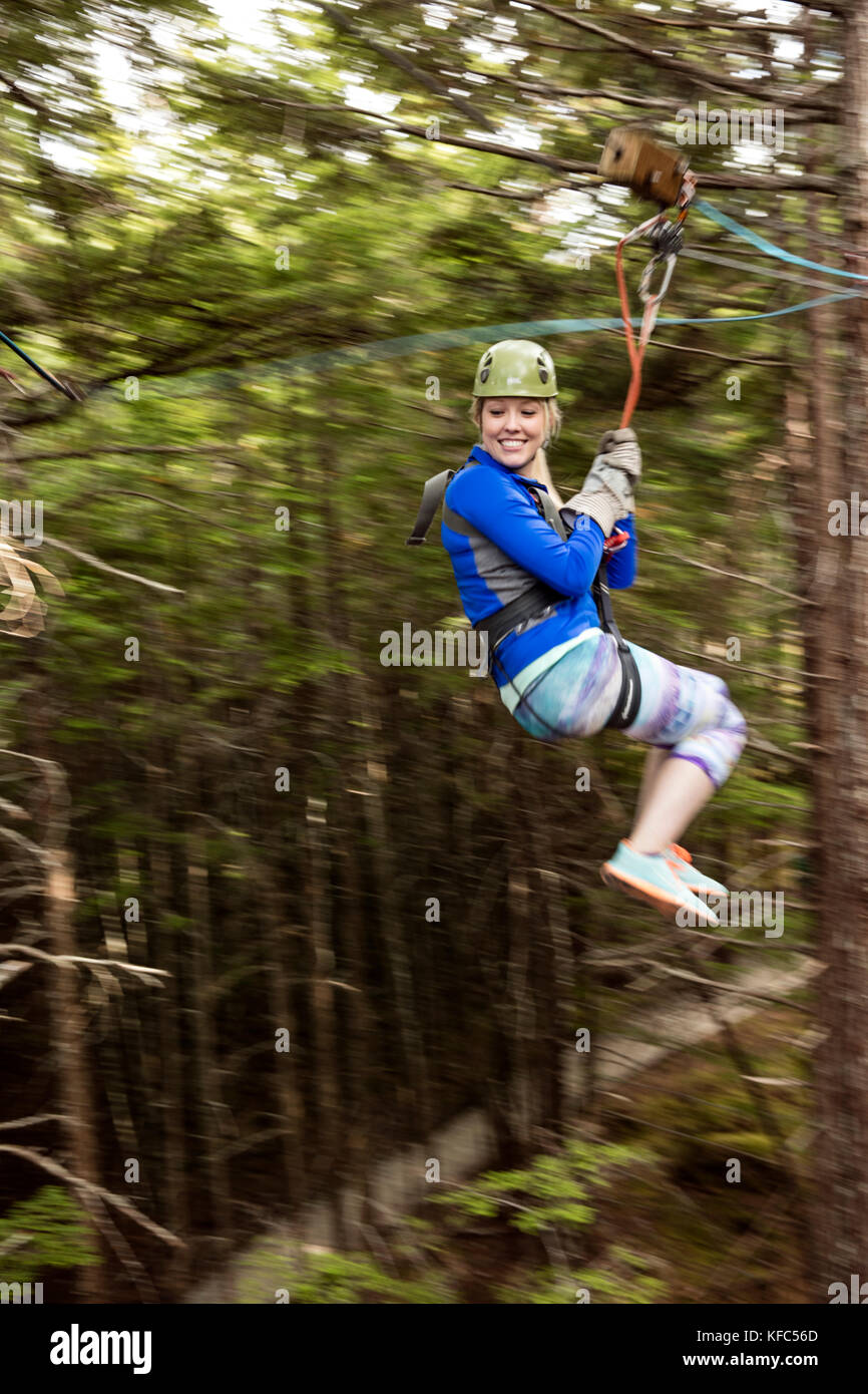 Grizzly falls zipline expedition Fotos e Imágenes de stock Alamy
