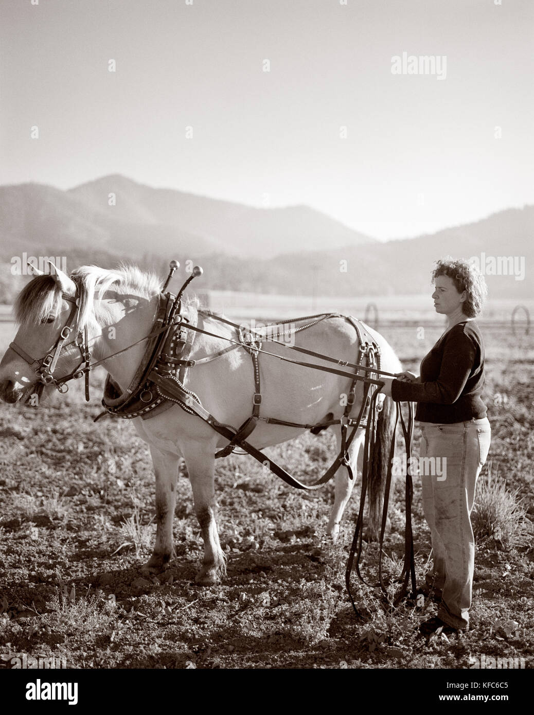 California, Estados Unidos, el agricultor orgánico de pie a caballo en