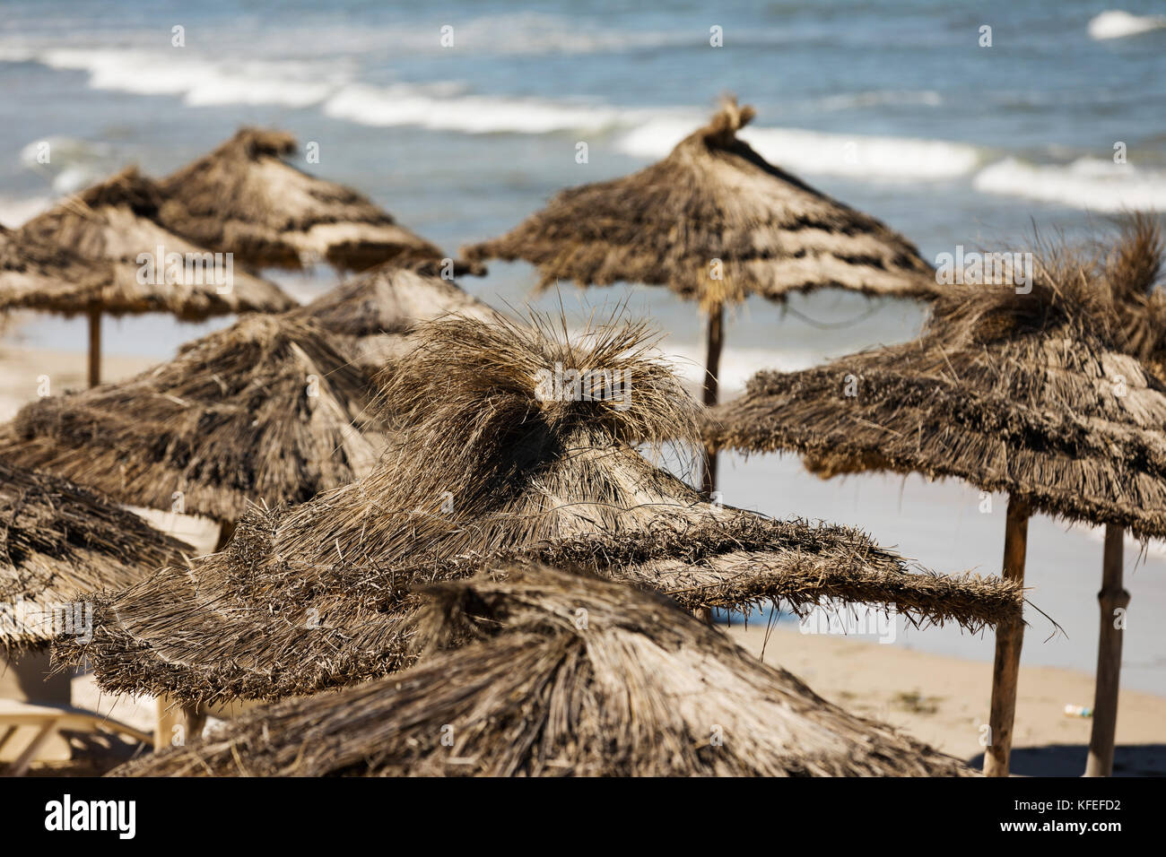 Playa de Túnez con sombrillas, cielo azul Foto de stock