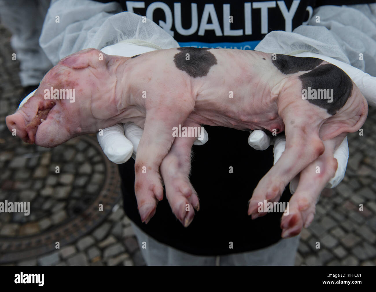 Los defensores de los derechos de los animales del grupo la igualdad animal mantenga los animales muertos en sus manos durante una protesta silenciosa delante de la puerta de Brandenburgo, en el centro de Berlín, Alemania, el 28 de octubre de 2017. alrededor de 300 manifestantes participaron en la protesta. Foto: Paul zinken/dpa Foto de stock