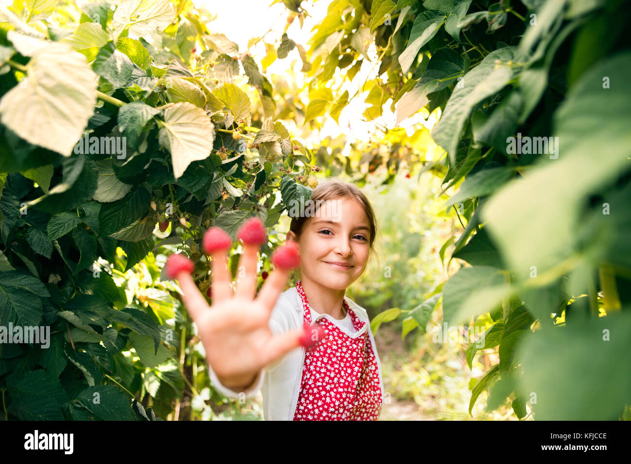 La pequeña niña la jardinería en el jardín posterior. Foto de stock
