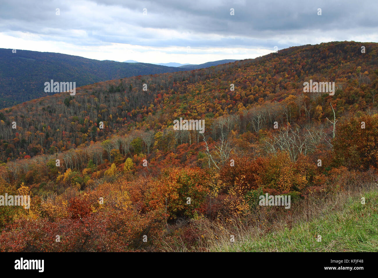 Una montaña otoño paisaje con coloridos árboles. Una vista de la Skyline Drive en el Parque Nacional Shenandoah, Virginia. Foto de stock