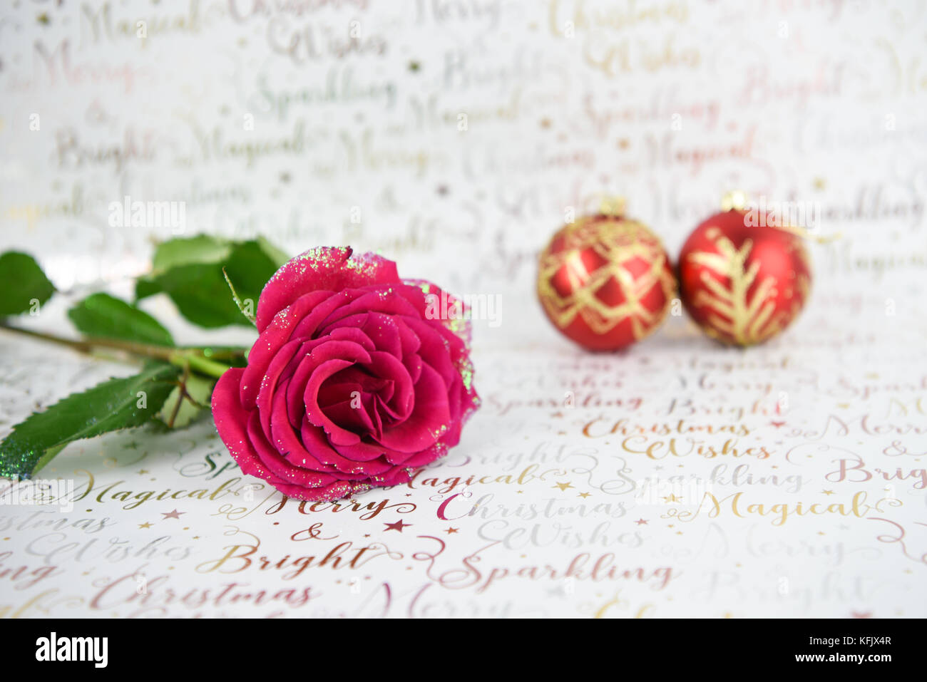 Imagen fotografía de navidad con purpurina rosa roja y flor de oro rojo brillante de adornos de navidad adornos del árbol de brillante color blanco sobre fondo de papel enrollado Foto de stock