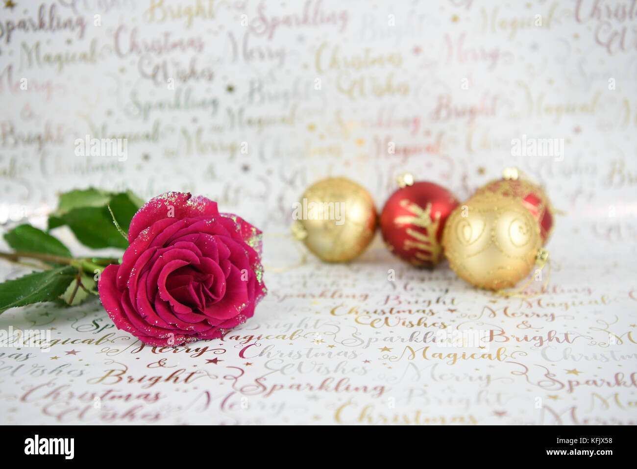 Imagen fotografía de navidad con purpurina rosa roja y flor de oro rojo brillante de adornos de navidad adornos del árbol de brillante color blanco sobre fondo de papel enrollado Foto de stock