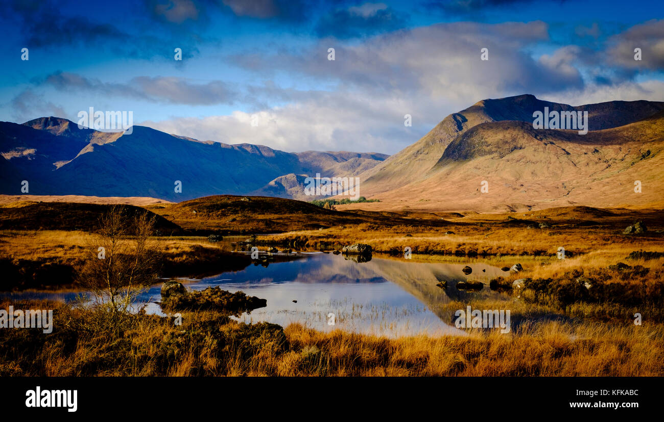 La luz de la mañana temprano sobre Rannoch Moor, Highlands de Escocia Foto de stock