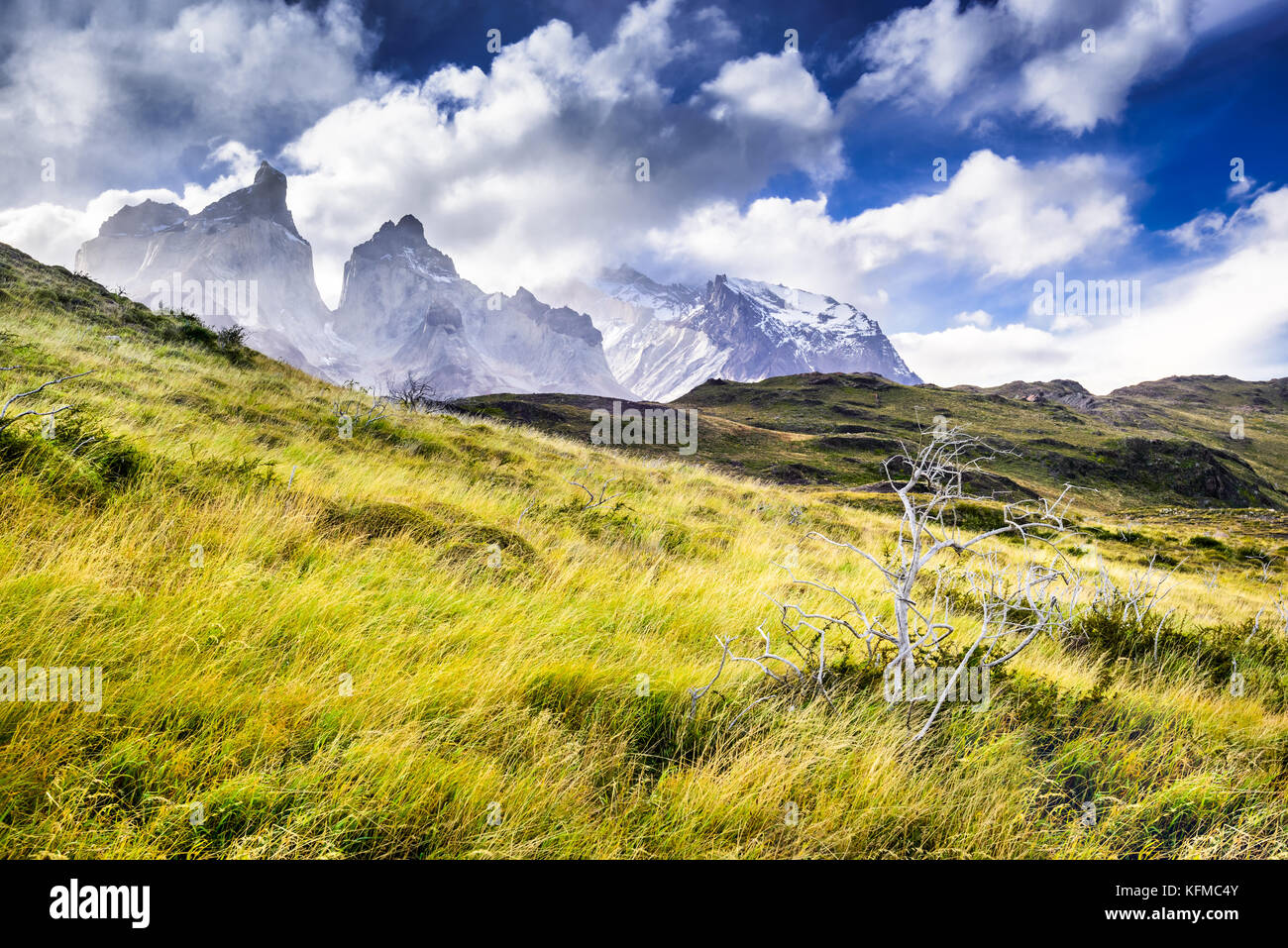 Torres del Paine, Chile - Patagonia paisaje con montañas emisphere austral. Región Magellanes. Foto de stock