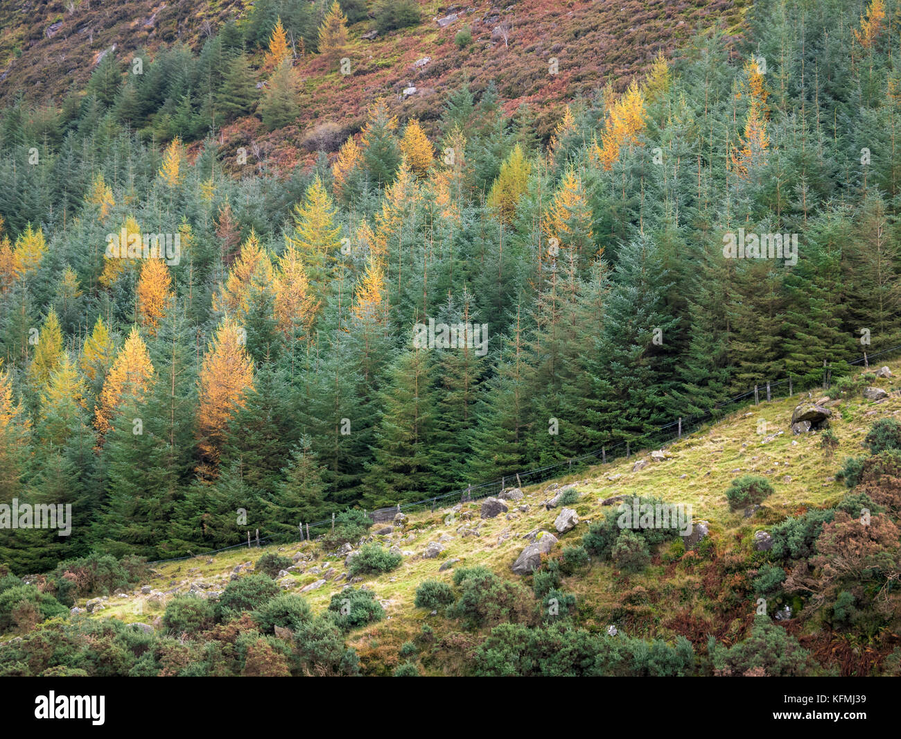 Paisaje de montañas Wicklow en colores autunm Foto de stock
